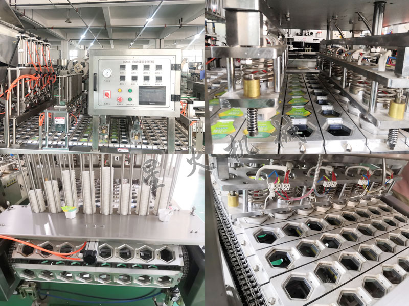 江蘇盒裝牛肉滑自動灌裝封口機細節實拍